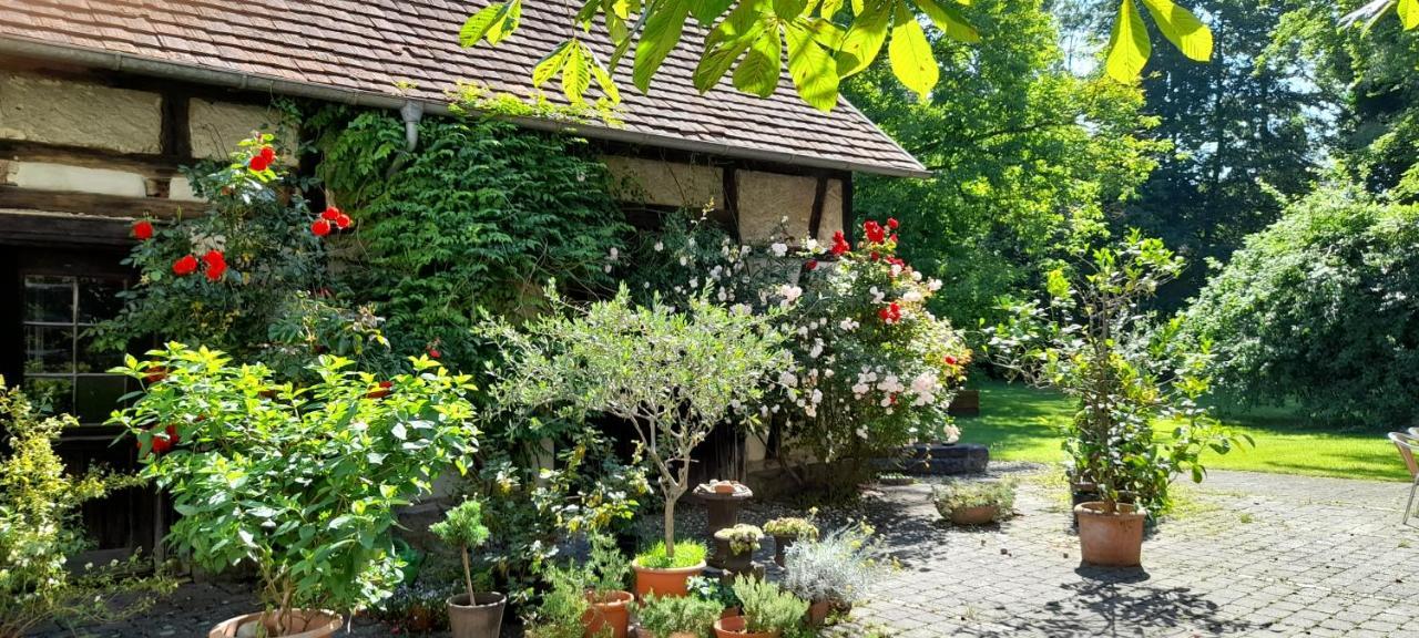 villaflora Gästehaus Riedlingen Exteriör bild