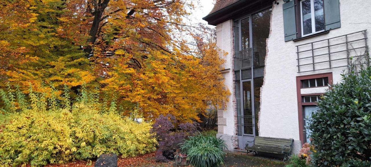 villaflora Gästehaus Riedlingen Exteriör bild
